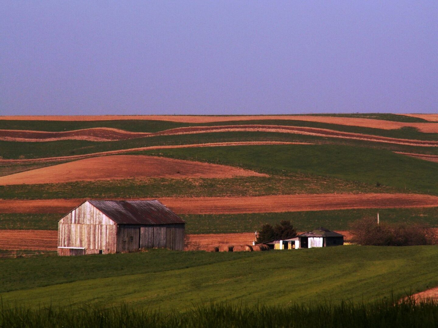 2 houses in a field